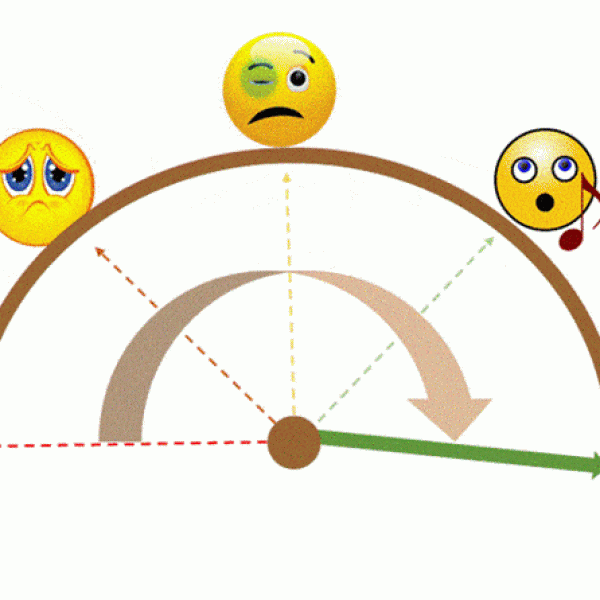 Le Mécontentement et La Poursuite de la Satisfaction